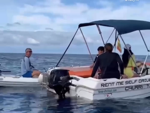 Wynajem w Adeje- Mareti 460 na SamBoat