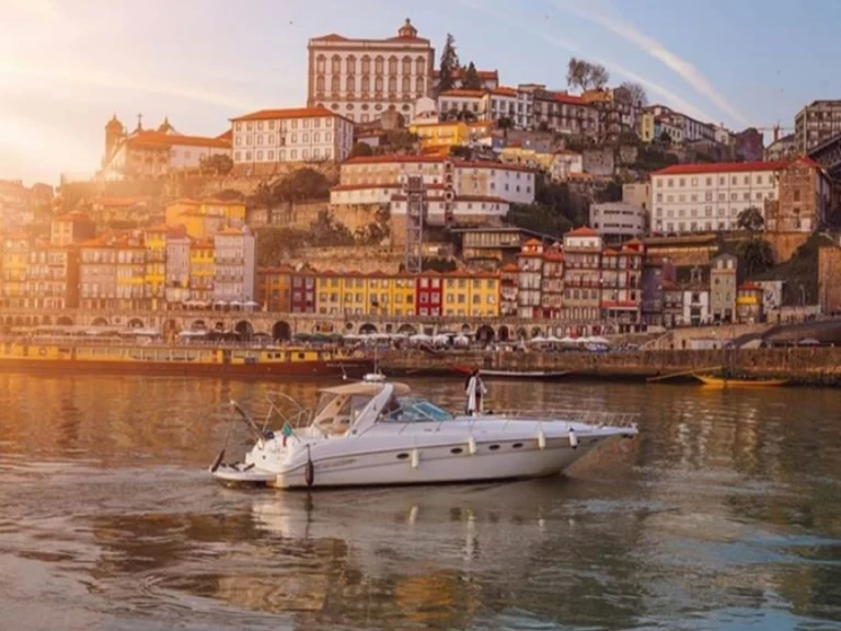 Wynajem Motorówka Sea Ray z patentem 