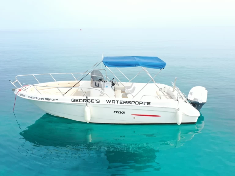 Selva SELVA D 7.0 C między profesjonalistami a osobami prywatnymi w Latchi