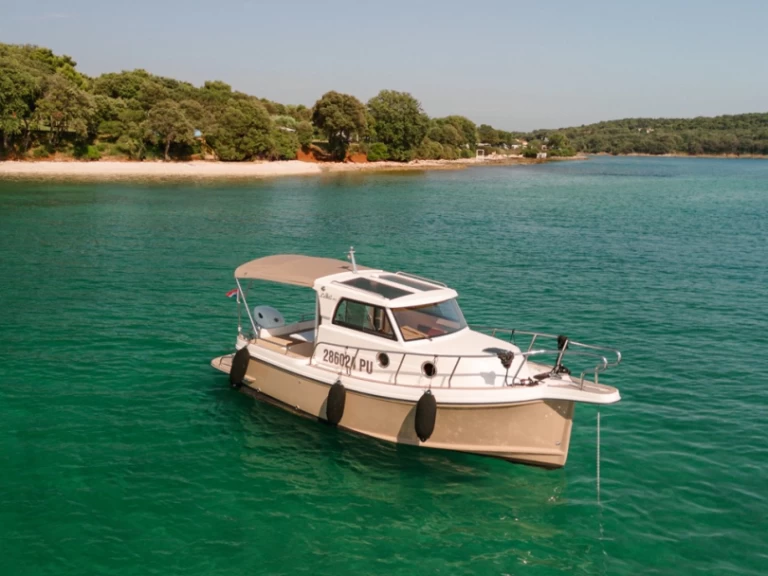 Leidi Leidi 660 między profesjonalistami a osobami prywatnymi w Pula