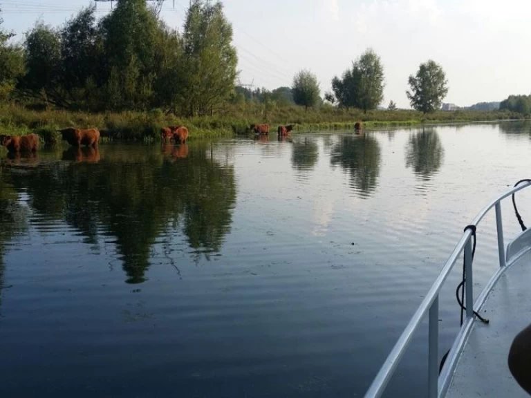 Motorówka do wynajmu w Bunschoten w najlepszej cenie