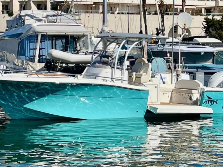 Wynajem Motorówka White Shark z patentem 