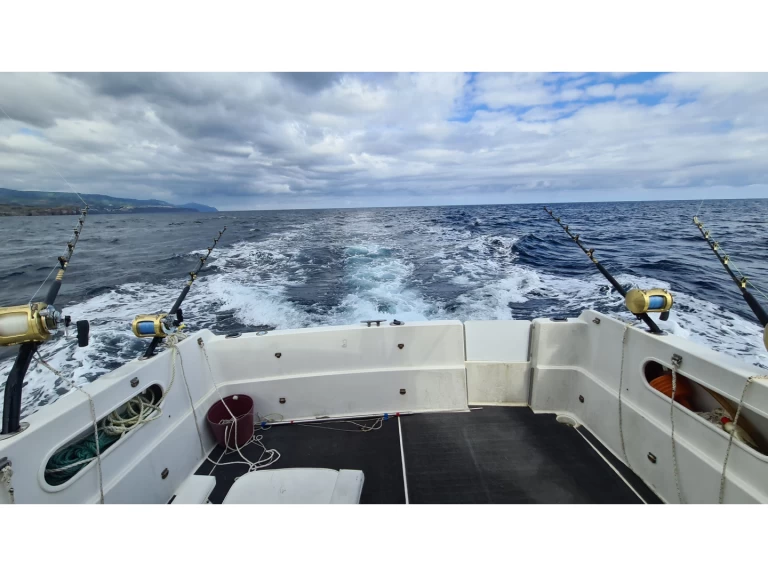 Wynajem Motorówka w Ponta Delgada (São Pedro) - Rodman Rodman 900 Fly