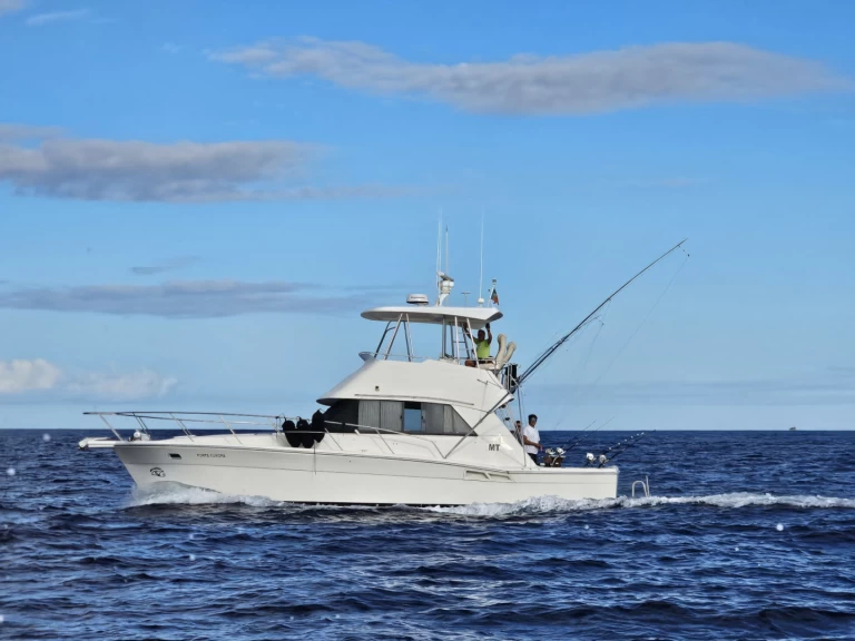 Wynajem Motorówka w Ponta Delgada (São Pedro) - Riviera Riviera 39 Open Flybridge