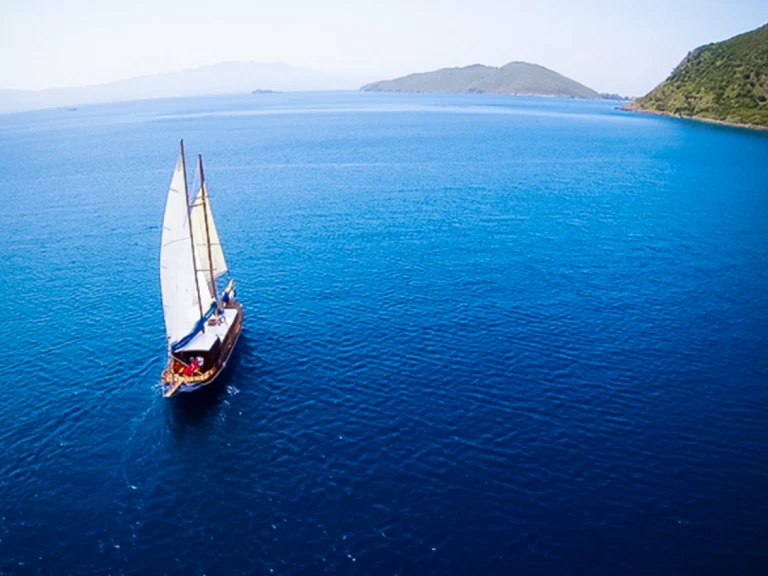 Wynajem Żaglowiec  z patentem 