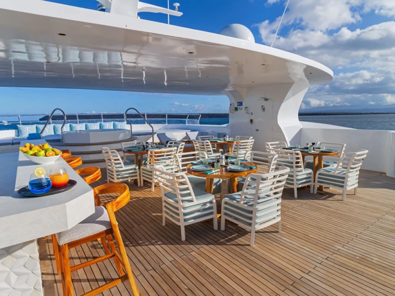 Wynajem Luksusowy jacht  z patentem 