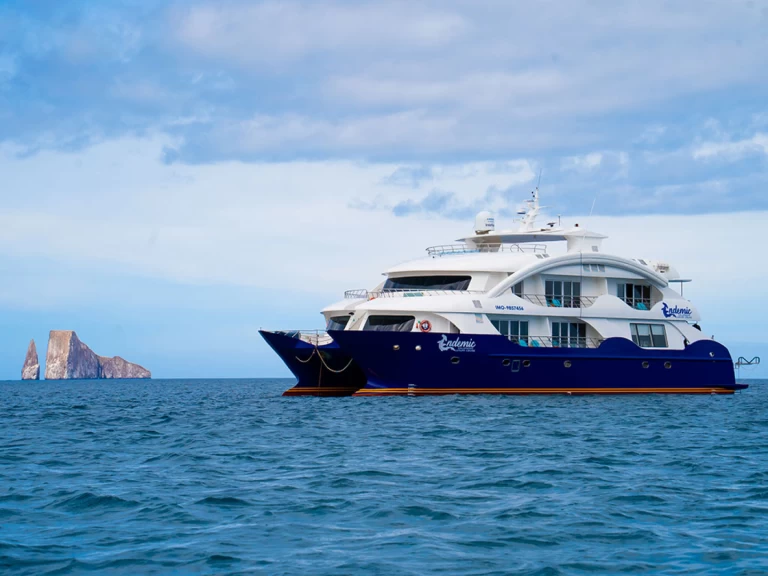 Wynajem Luksusowy jacht  z patentem 