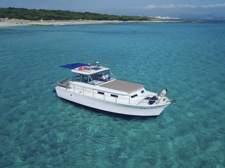 Chris Craft Commander 31 między profesjonalistami a osobami prywatnymi w Can Picafort