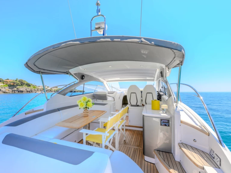 Princess Princess V40 między profesjonalistami a osobami prywatnymi w Monaco-Ville