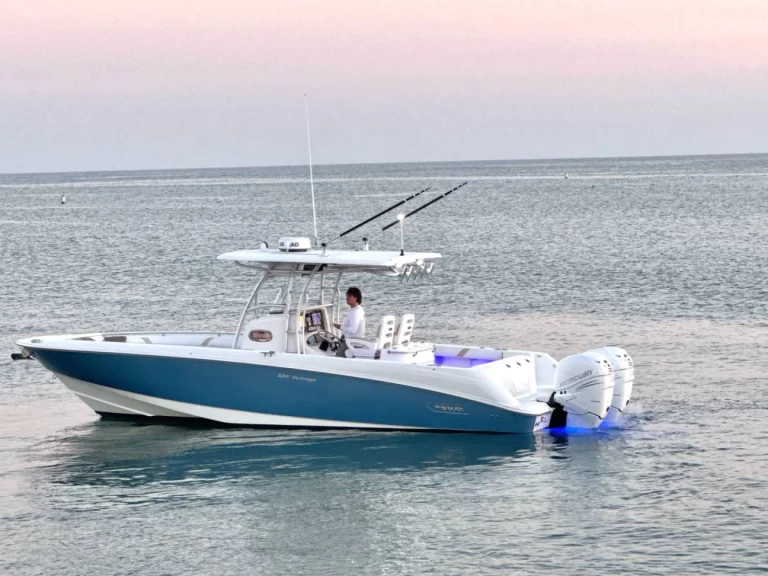 Wynajem w Ýdra- Boston Whaler Boston Whaler 320 Outrage na SamBoat