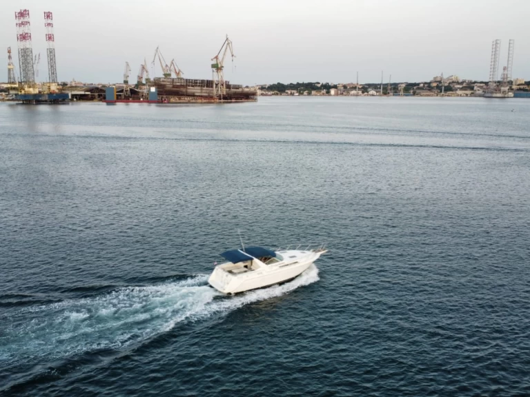 Motorówka do wynajmu w Pula w najlepszej cenie