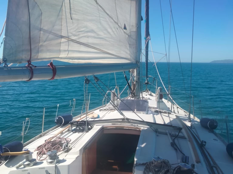 Bénéteau Canot 390 między profesjonalistami a osobami prywatnymi w Cagliari Port