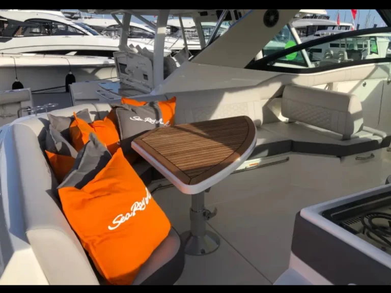 Wynajem Motorówka Sea Ray z patentem 