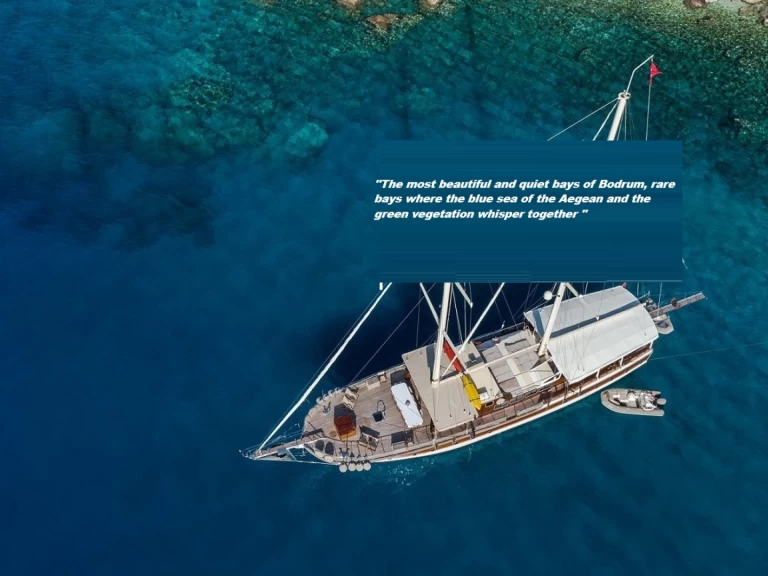 Wynajem Łódż półsztywna Gulet z patentem 