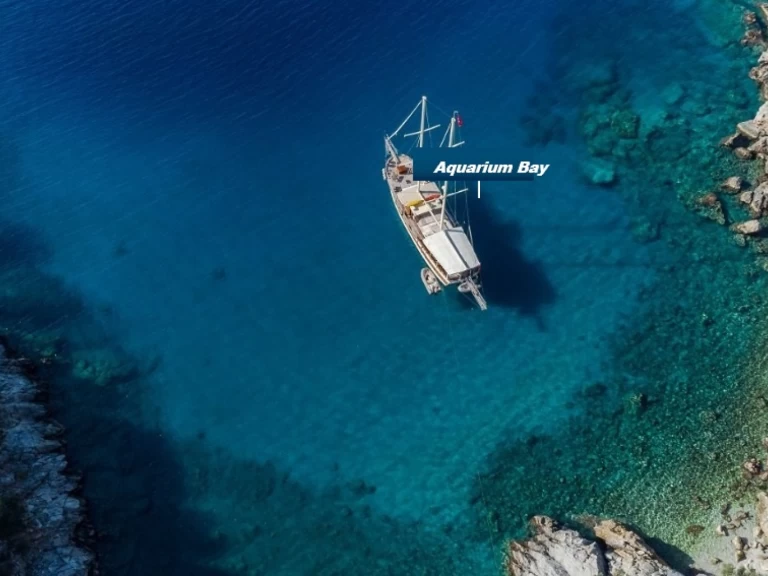 Łódż półsztywna do wynajmu w Budrum Bay w najlepszej cenie