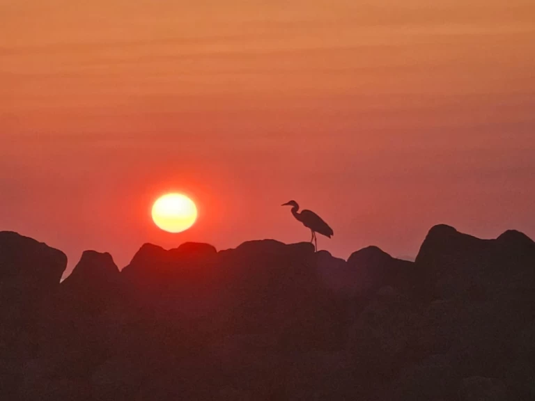 Wynajem łodzi Marco 26 w Oía na SamBoat 