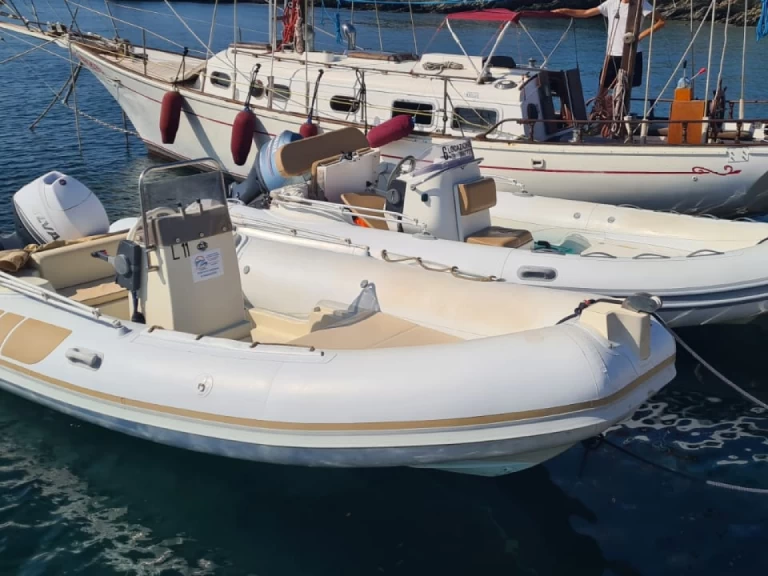 Wynajmij rib marine 550 w Stintino