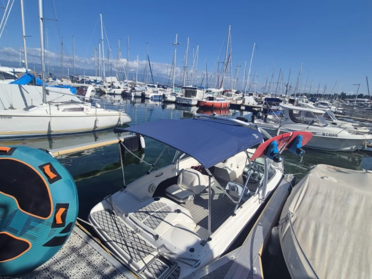 Wynajem Motorówka Bayliner z patentem 