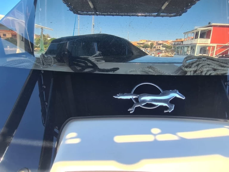 Łódż półsztywna do wynajmu w Stintino w najlepszej cenie