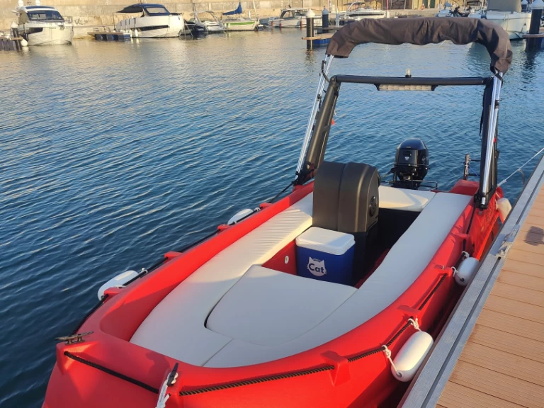 Whaly Whaly 435-R między profesjonalistami a osobami prywatnymi w Calp / Calpe