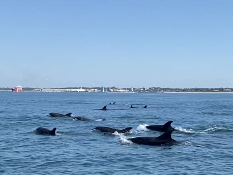 Wynajem łodzi Bayonne tanio Ultra 515 Open