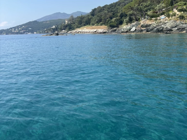 Wynajem łodzi Bastia Port tanio Cap Camarat 5.1