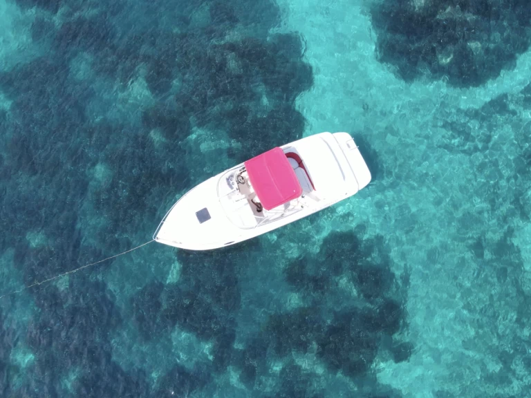 Wynajem w Vieux Port de Cannes- Rinker Captiva 232 Cudy na SamBoat