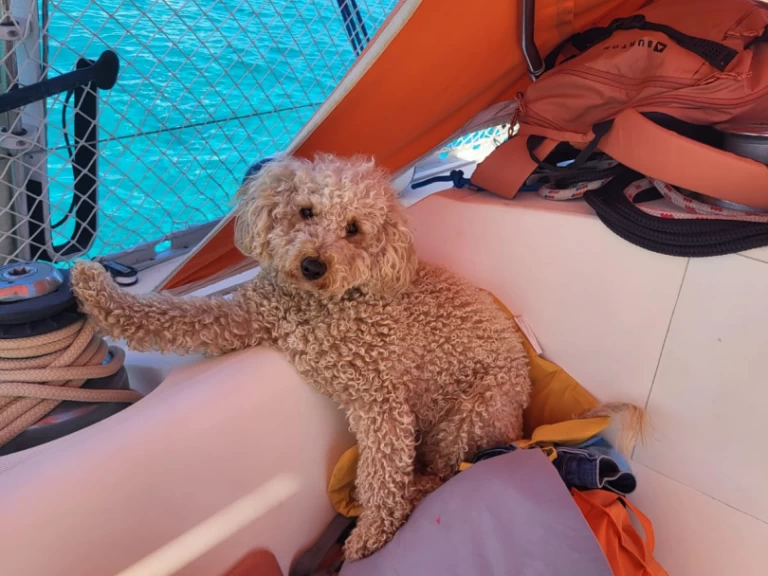 Wynajem łodzi Saint-Florent tanio Sun Fizz