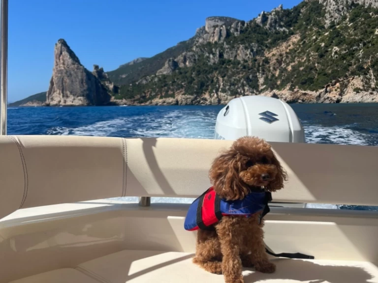 Wynajmij Bsc BSC 70 Classic w Villasimius