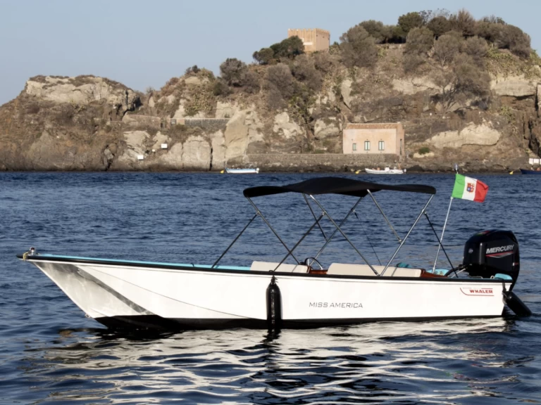Wynajem w Aci Trezza- Boston Whaler Boston Whaler 17 na SamBoat