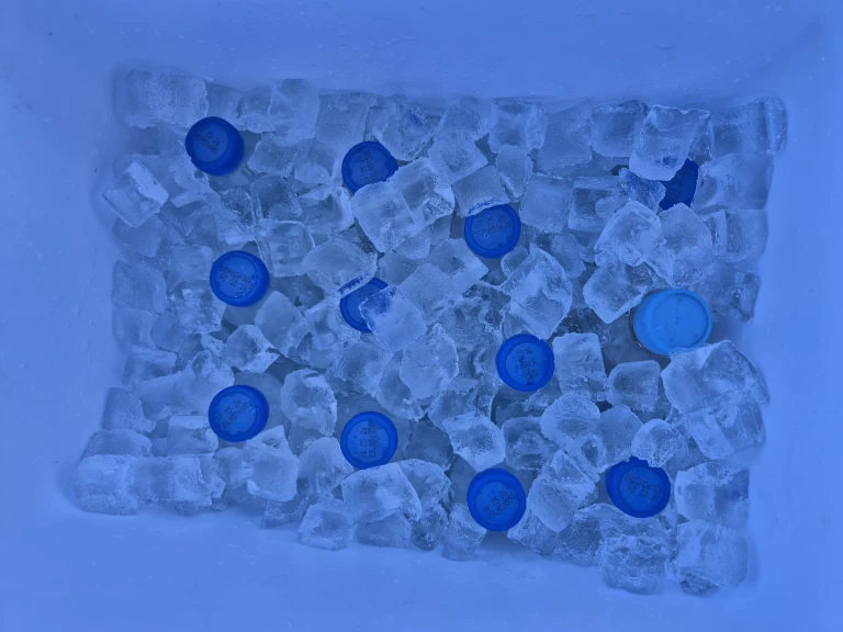 Wynajem w Makarska- Cap755cc Cap755cc na SamBoat