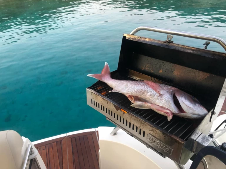 Wynajem Motorówka w Alimos - Sealine Sealine S38