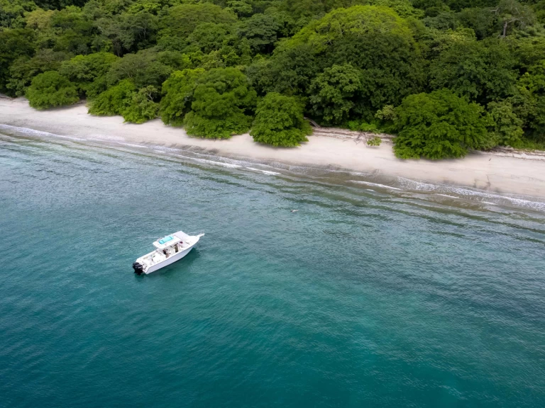 Wynajem Motorówka grady-white z patentem 