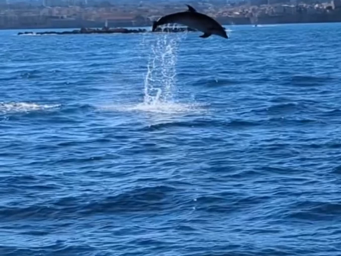 Wynajem Motorówka Navan z patentem 