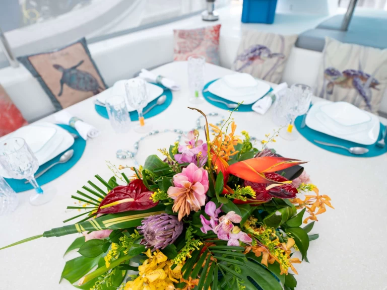 Voyage TURQUOISE TURTLE między profesjonalistami a osobami prywatnymi w Brytyjskie Wyspy Dziewicze