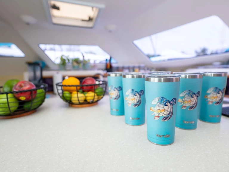 Wynajem w Brytyjskie Wyspy Dziewicze- Voyage TURQUOISE TURTLE na SamBoat