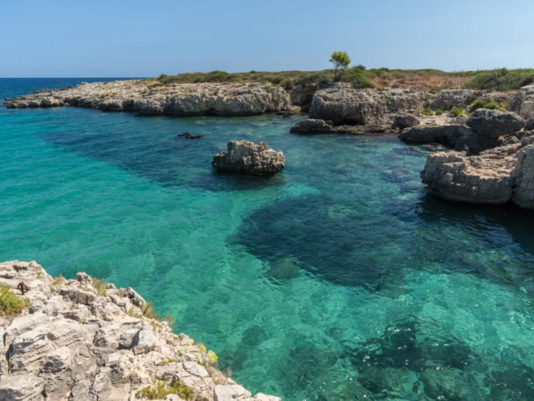 Wynajem Motorówka Megamar z patentem 