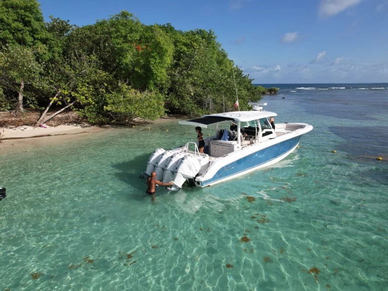 Boston Whaler Boston Whaler 380 Outrage między profesjonalistami a osobami prywatnymi w Pointe-à-Pitre