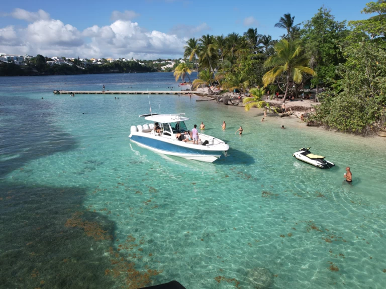 Wynajem w Pointe-à-Pitre- Boston Whaler Boston Whaler 380 Outrage na SamBoat