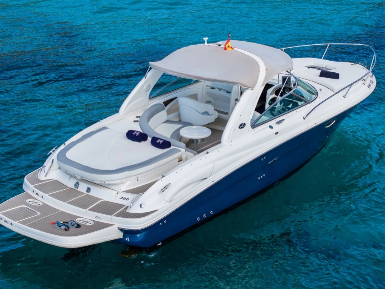 Wynajem Motorówka Sea Ray z patentem 