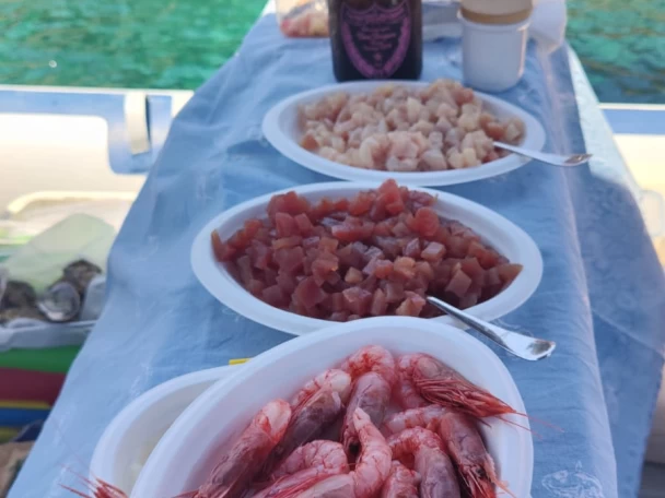 Wynajem Łódż półsztywna Northstar z patentem 