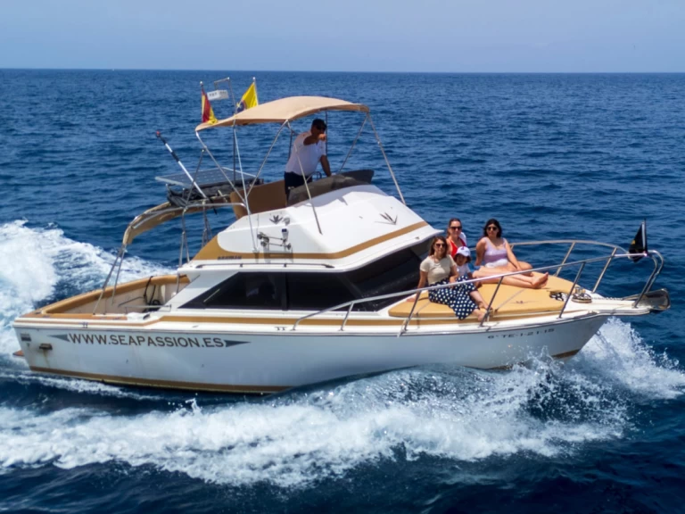 Wynajem w Guía de Isora- Bertram Bertram 28 flybrigde na SamBoat