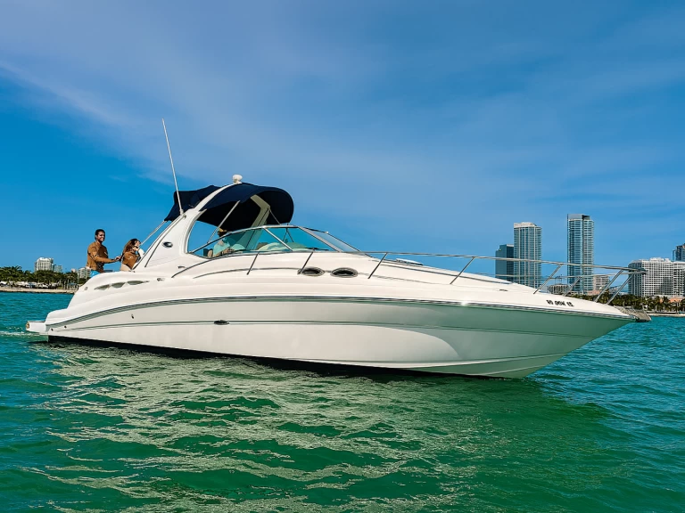 Wynajem Motorówka Sea Ray z patentem 