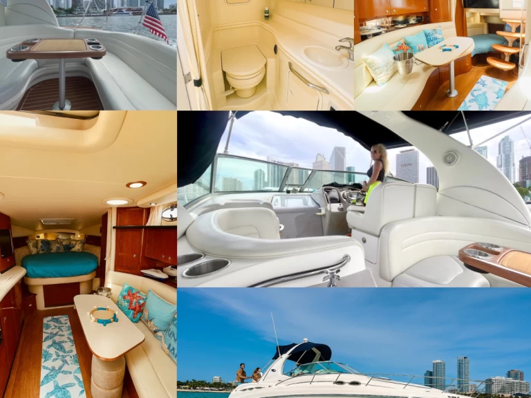 Sea Ray Sundancer 37 między profesjonalistami a osobami prywatnymi w Miami