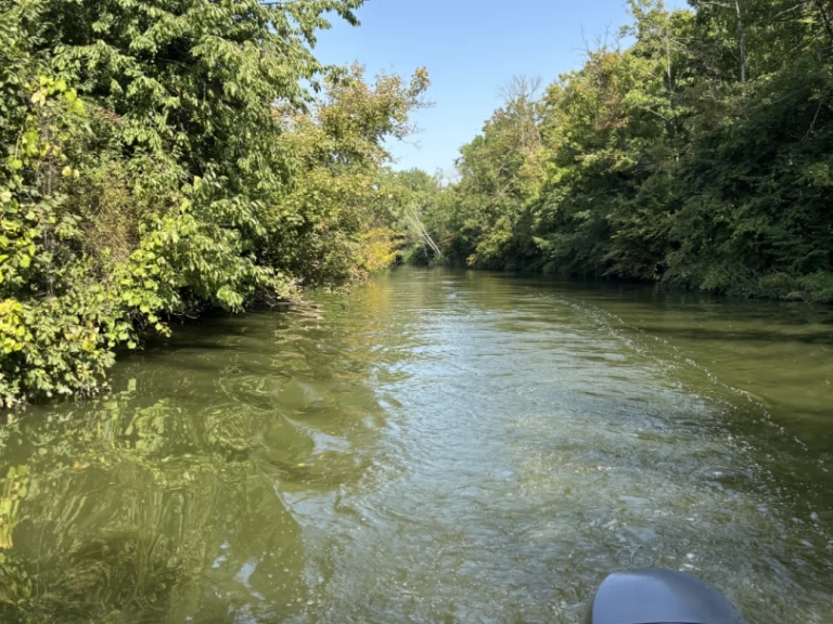 Wynajem Motorówka Jeanneau z patentem 