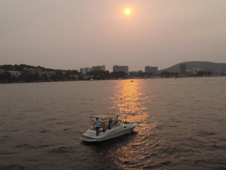 Wynajmij Sea Ray Sea Ray 240 Sundeck w Palma de Mallorca