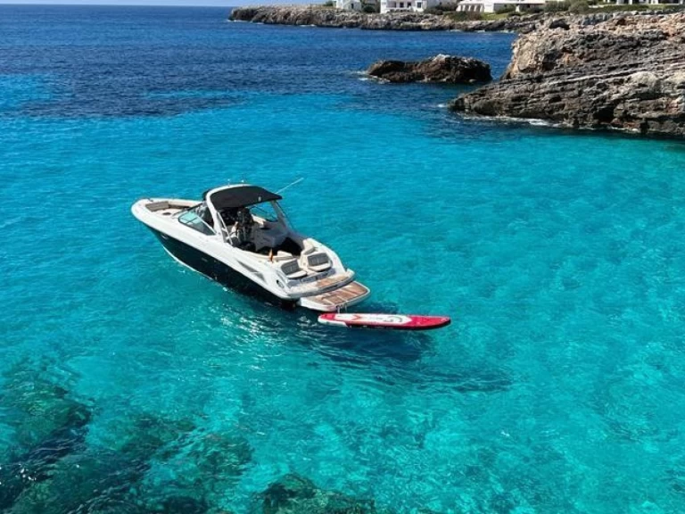 Wynajem Motorówka Sea Ray z patentem 