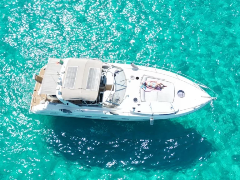 Fiart Fiart 40 Genius między profesjonalistami a osobami prywatnymi w Palermo