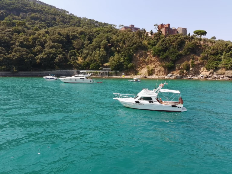 Wynajem Motorówka SETTE MARI z patentem 