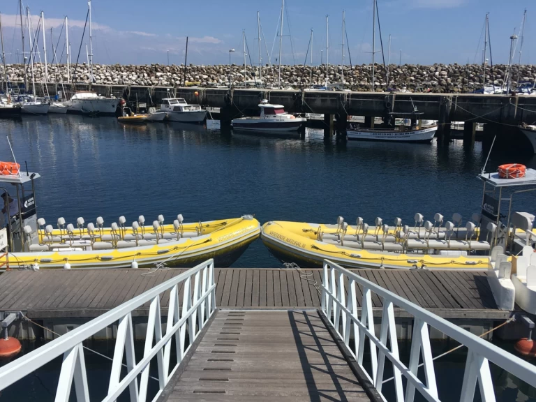 Vanguard TX 860 między profesjonalistami a osobami prywatnymi w Sesimbra